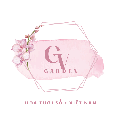 GV hoa tuoi so 1 viet nam