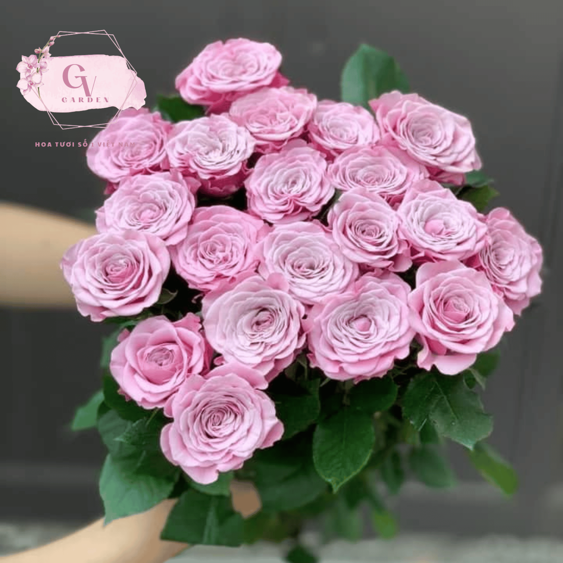 Thiet ke chua co ten 3