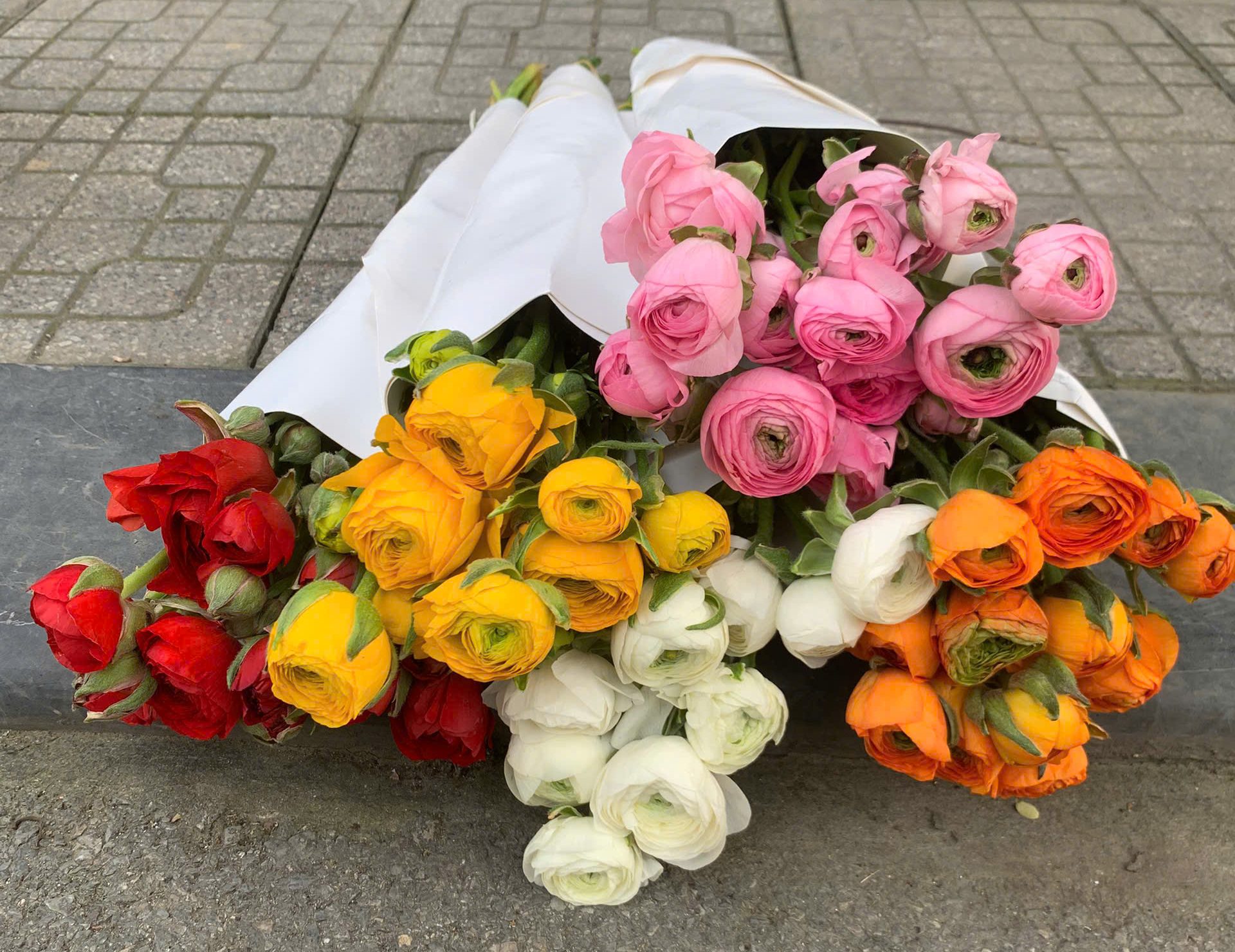 Lợi ích của việc giữ hoa tươi lâu