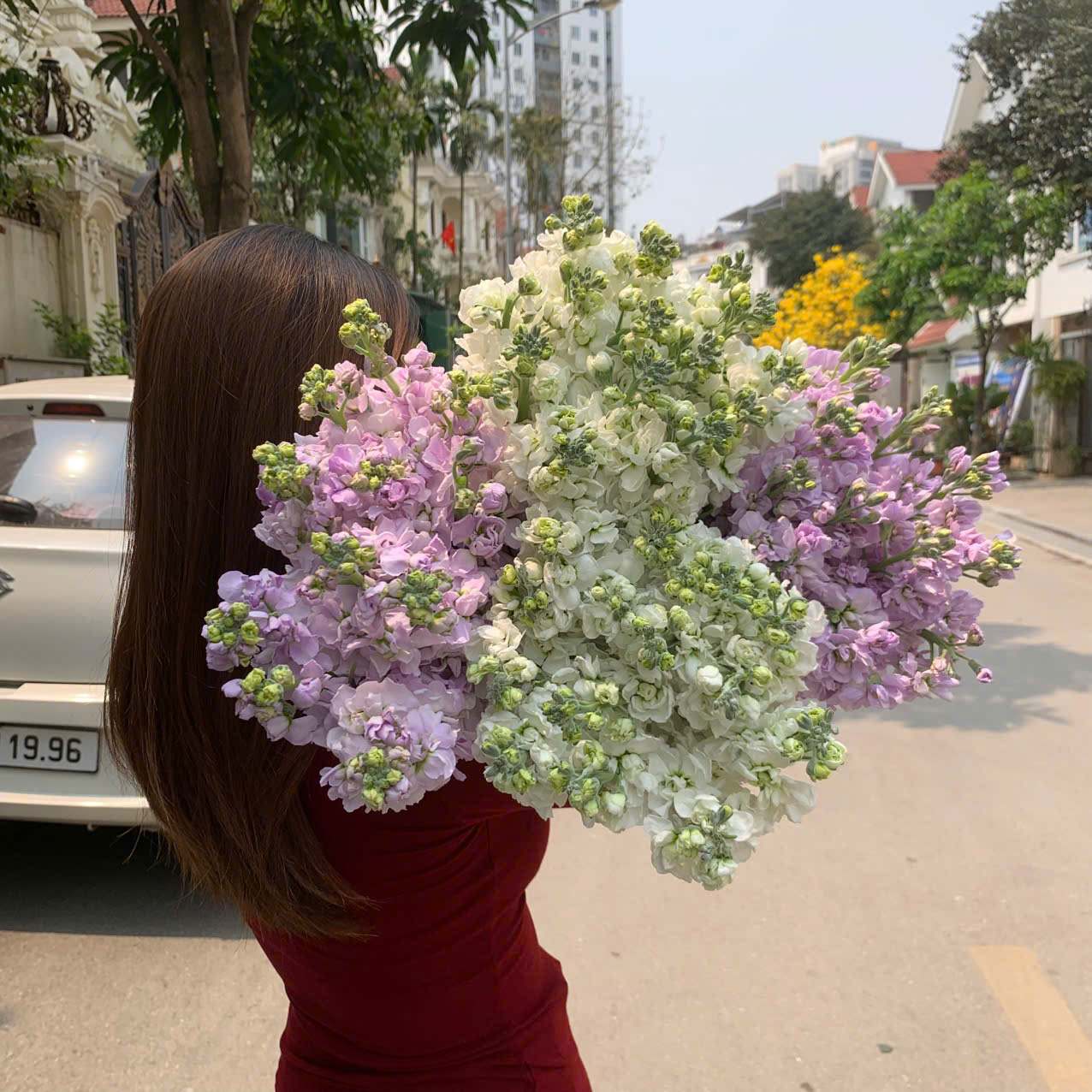 z6428190983623 7dbe220a7991be2a10ffce12a3b786ef