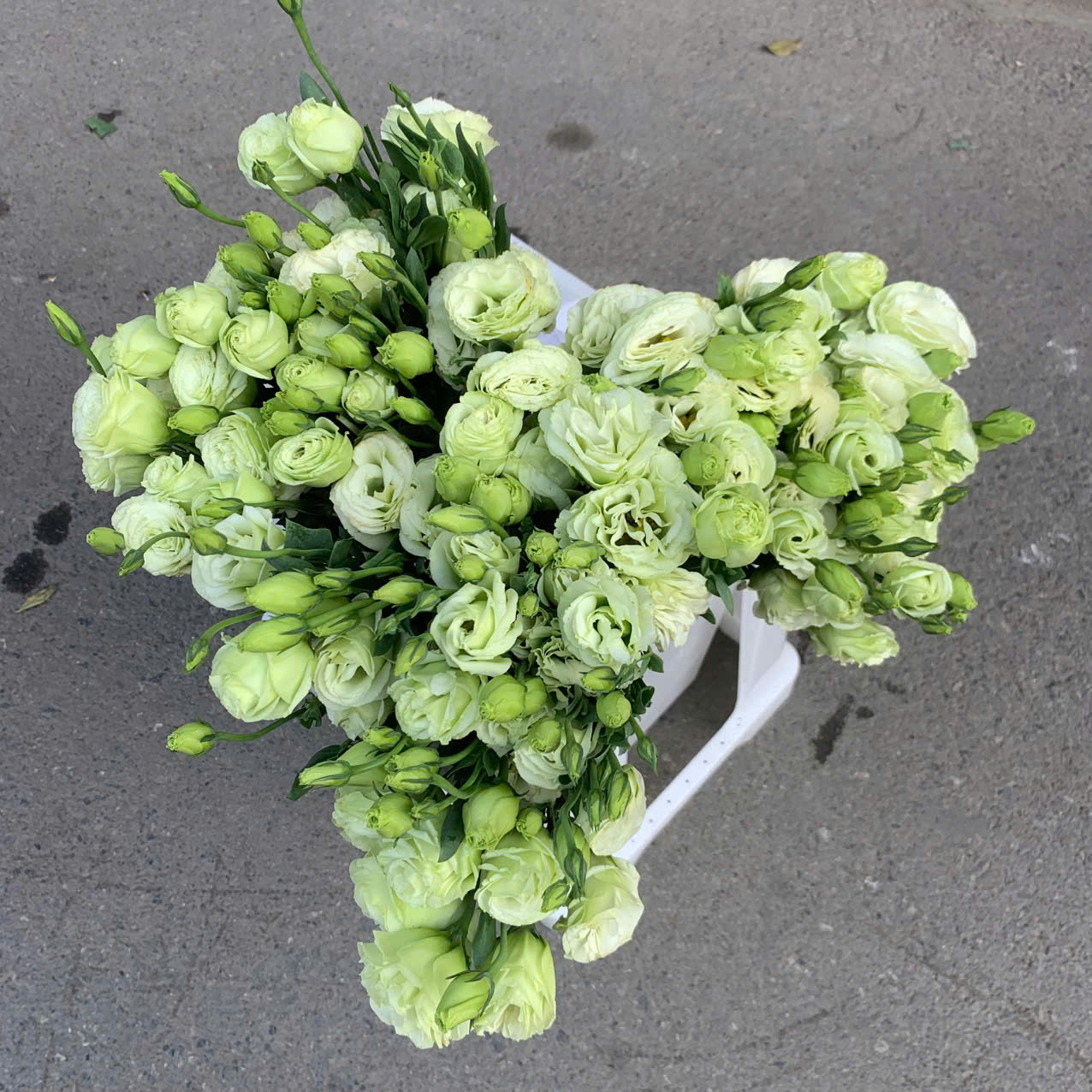 z6437724798554 251c9eb4efecf3dbbc57164c81825ece