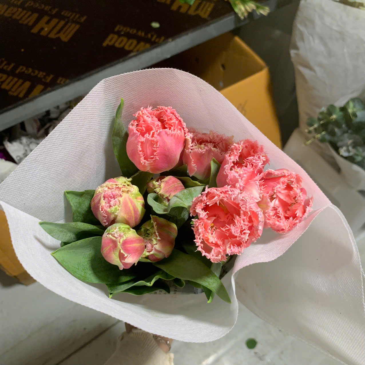 Sử Dụng Nước Sạch