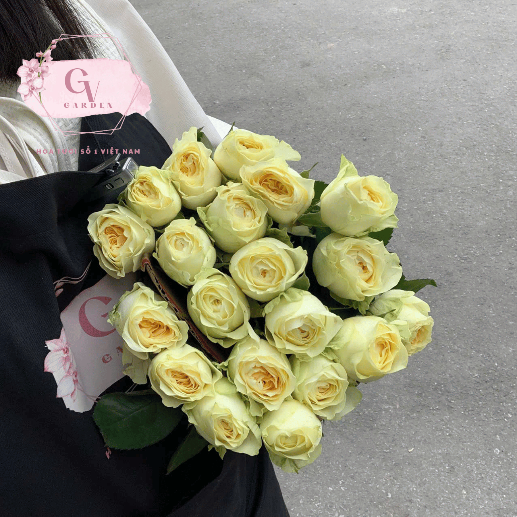 hoa hồng ngoại Victor