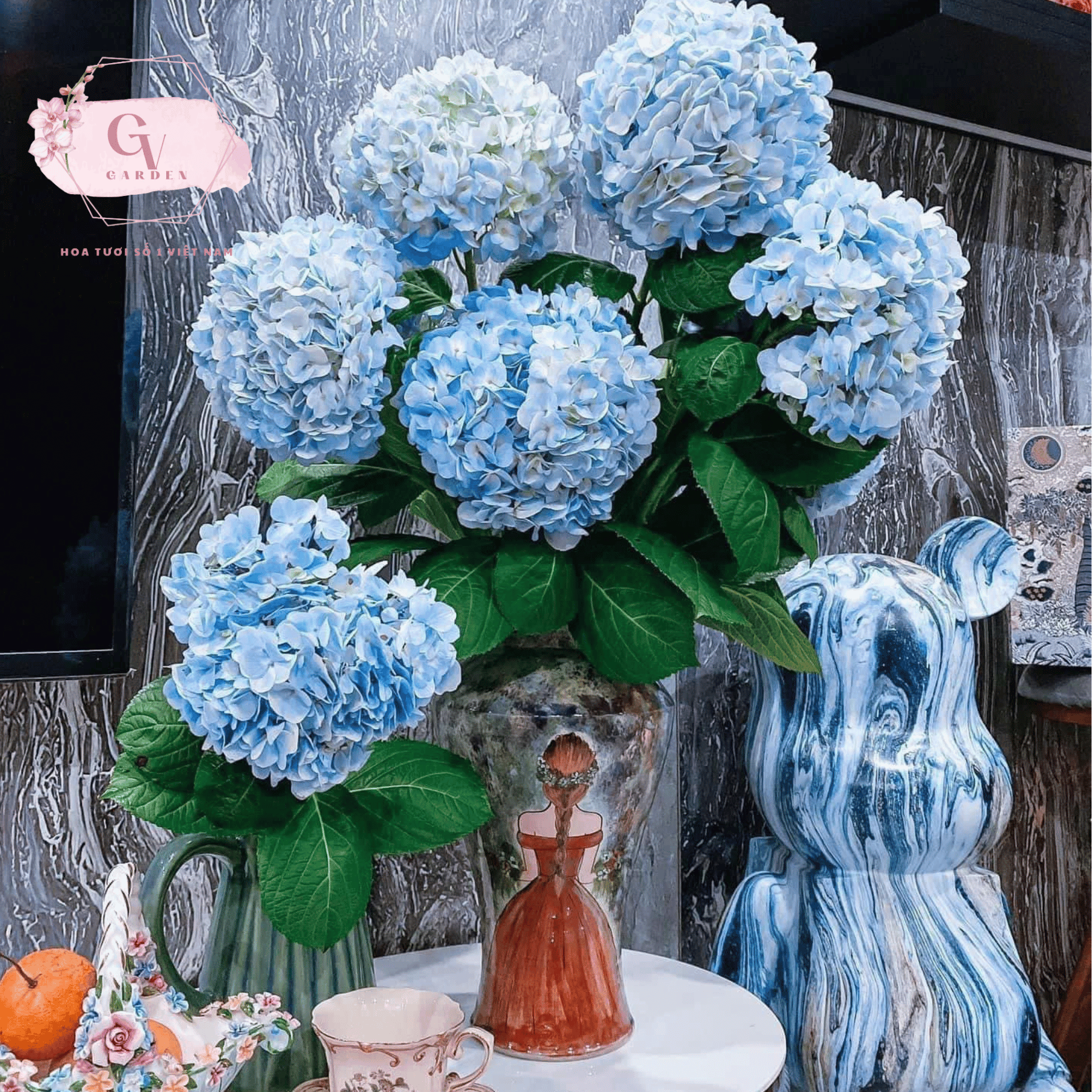 Chăm sóc cẩm tú cầu