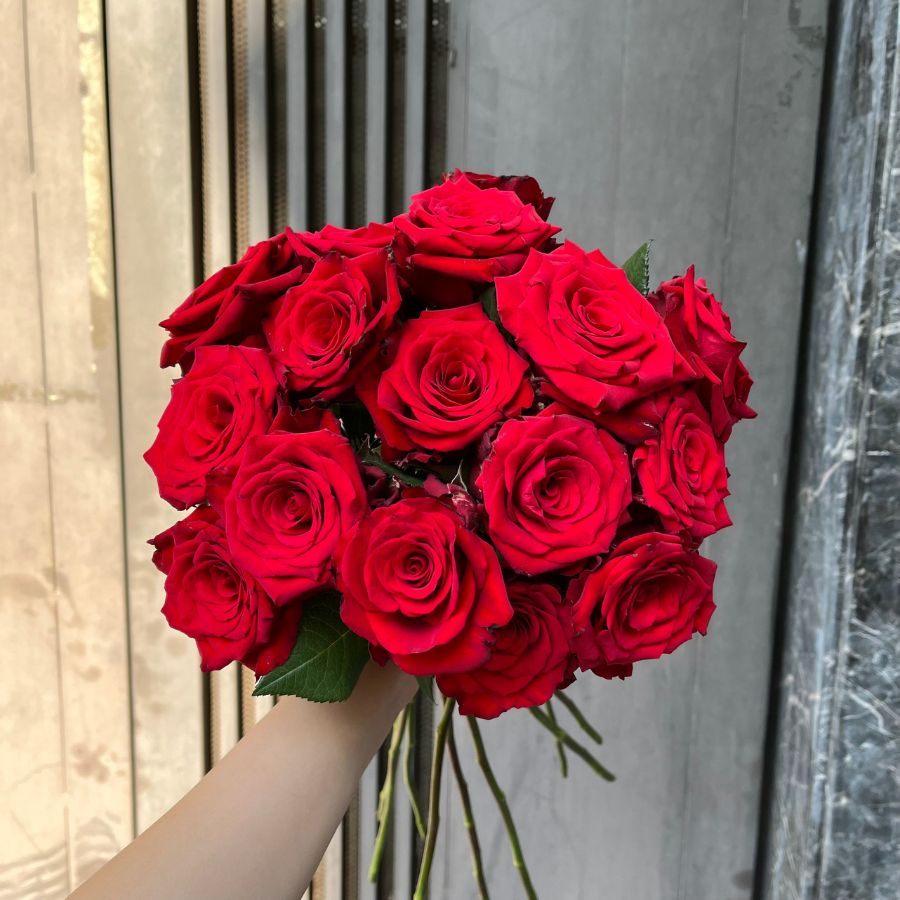 Hoa hồng đỏ Cô Dâu