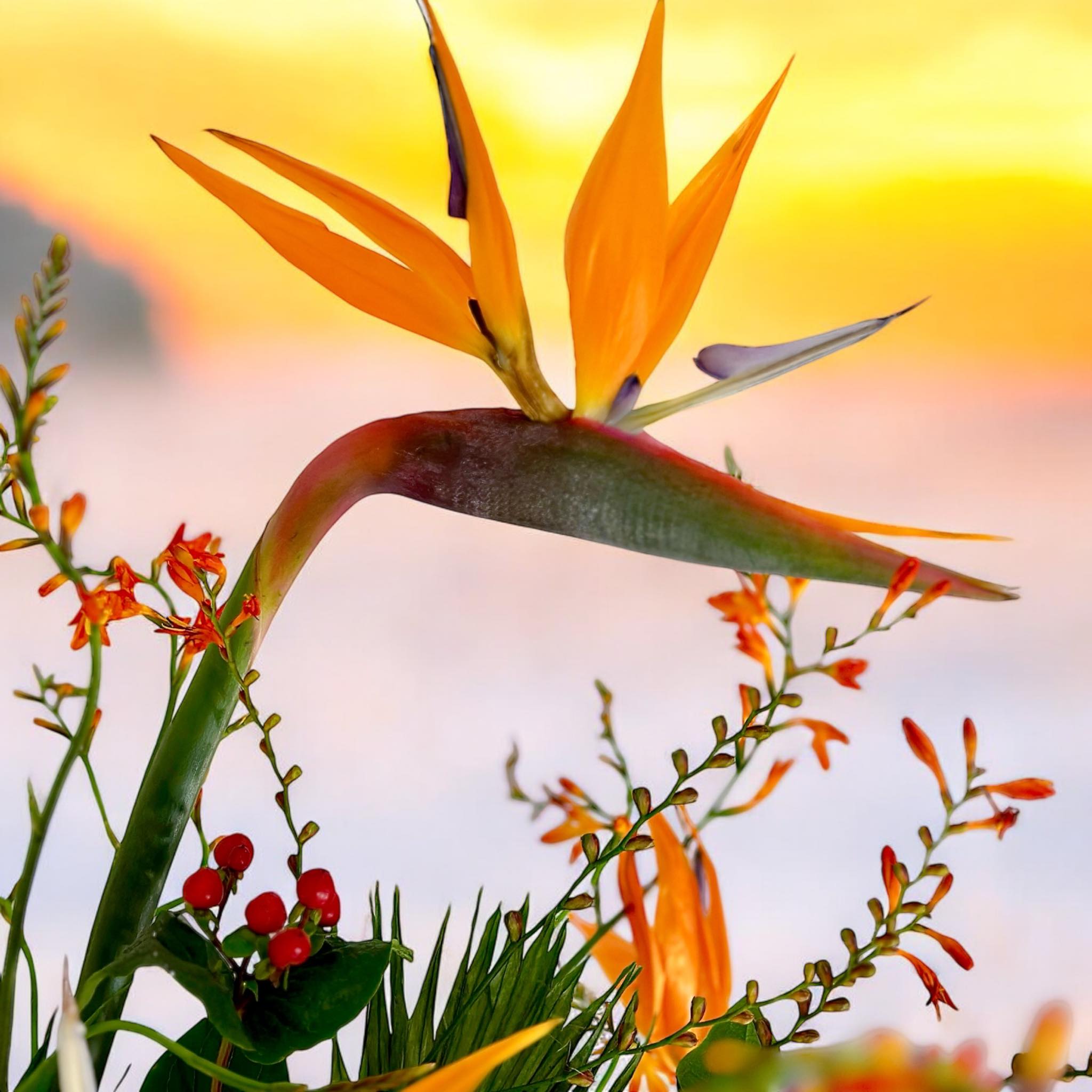 464304135 8252903594836312 3586610058373639554 n