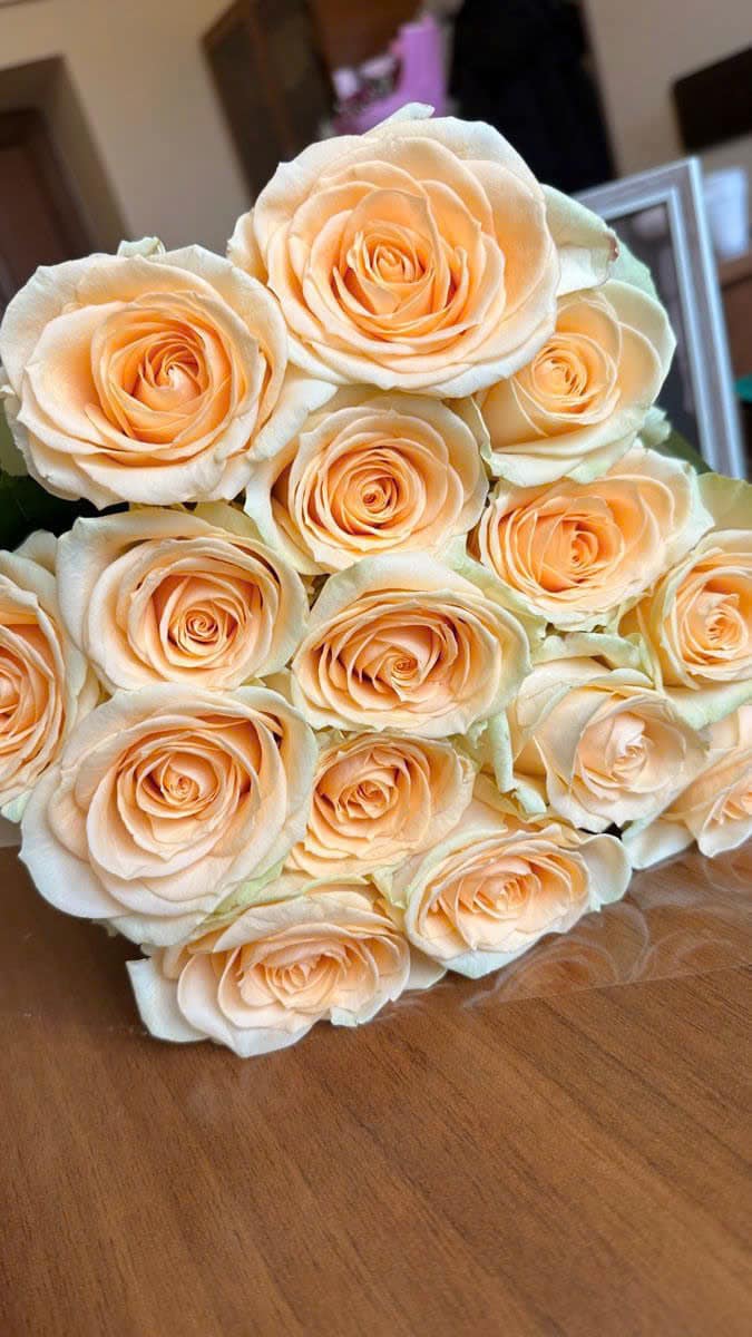 Hoa hồng kem trứng