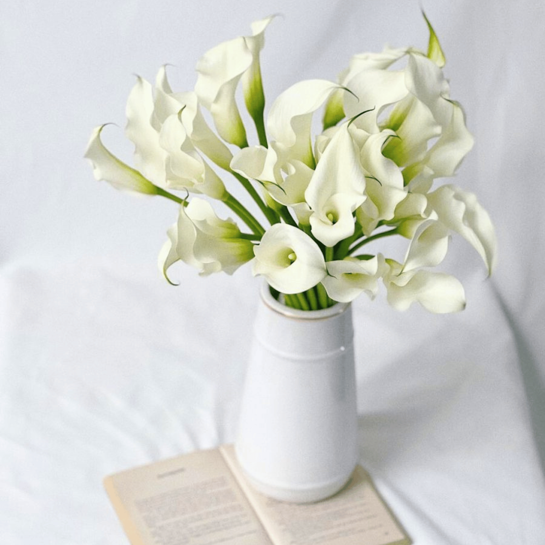 Thiet ke chua co ten 10