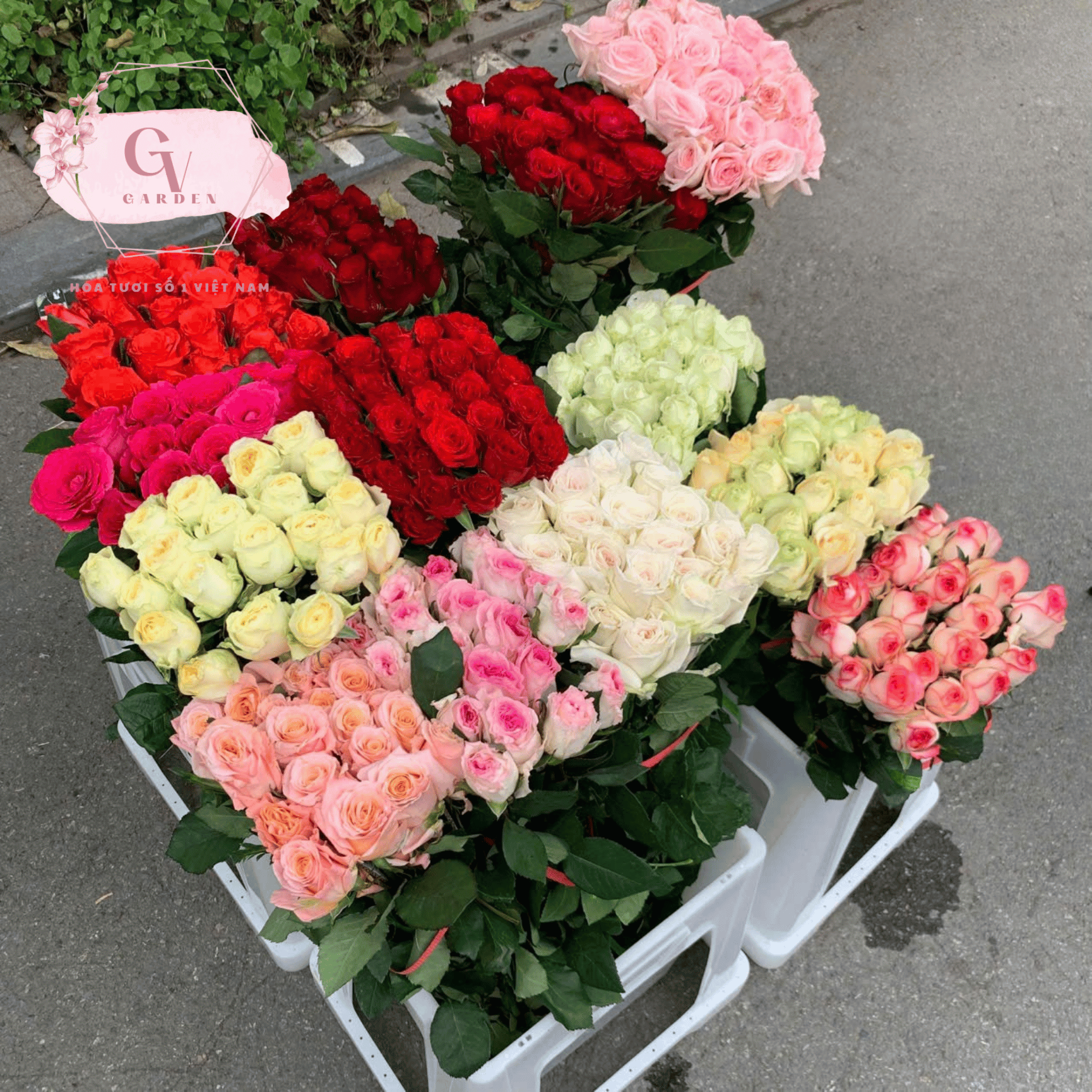 Thiet ke chua co ten 13