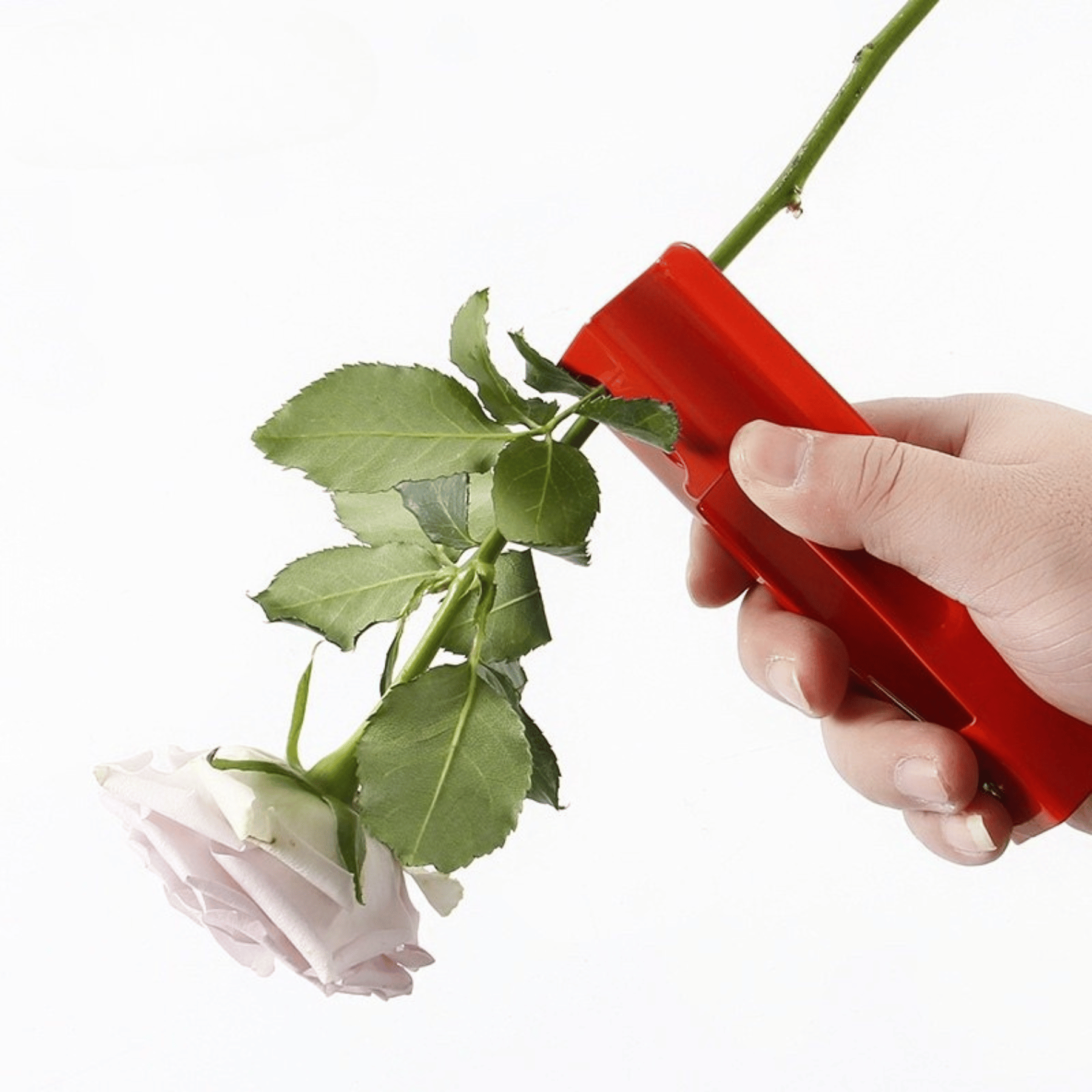 Thiet ke chua co ten 16