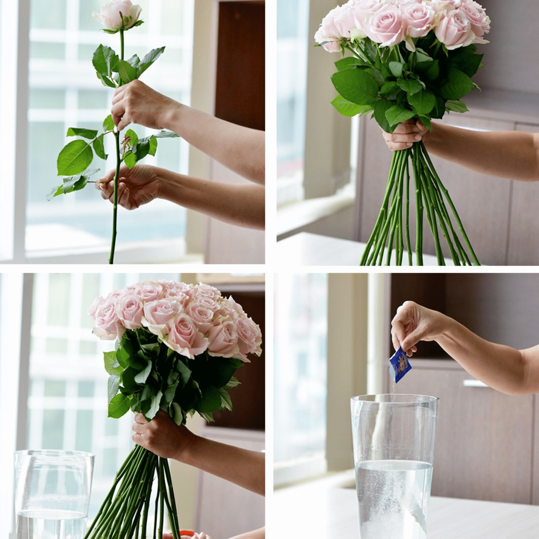 Thiet ke chua co ten 17