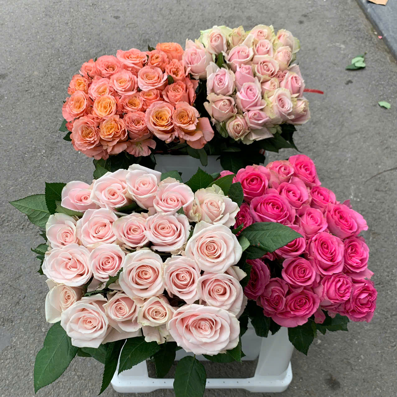 z6460085986266 be3c9bae3b40eb20835f831c428fb398