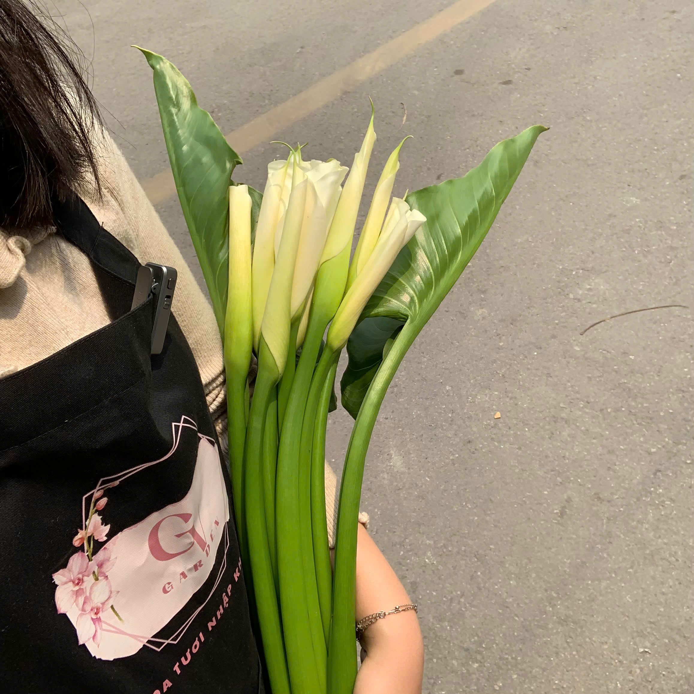 z6469032841784 0a9b066c6507fc5a1debc586429b4c74