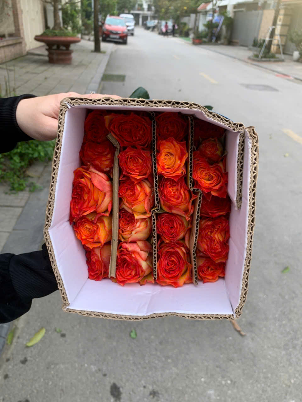 z6504472755737 4265acf77c25a6cd121897d4b7699b57