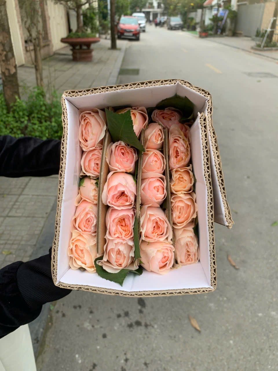 z6504472767053 543441fa450a200bca607080e550b07b