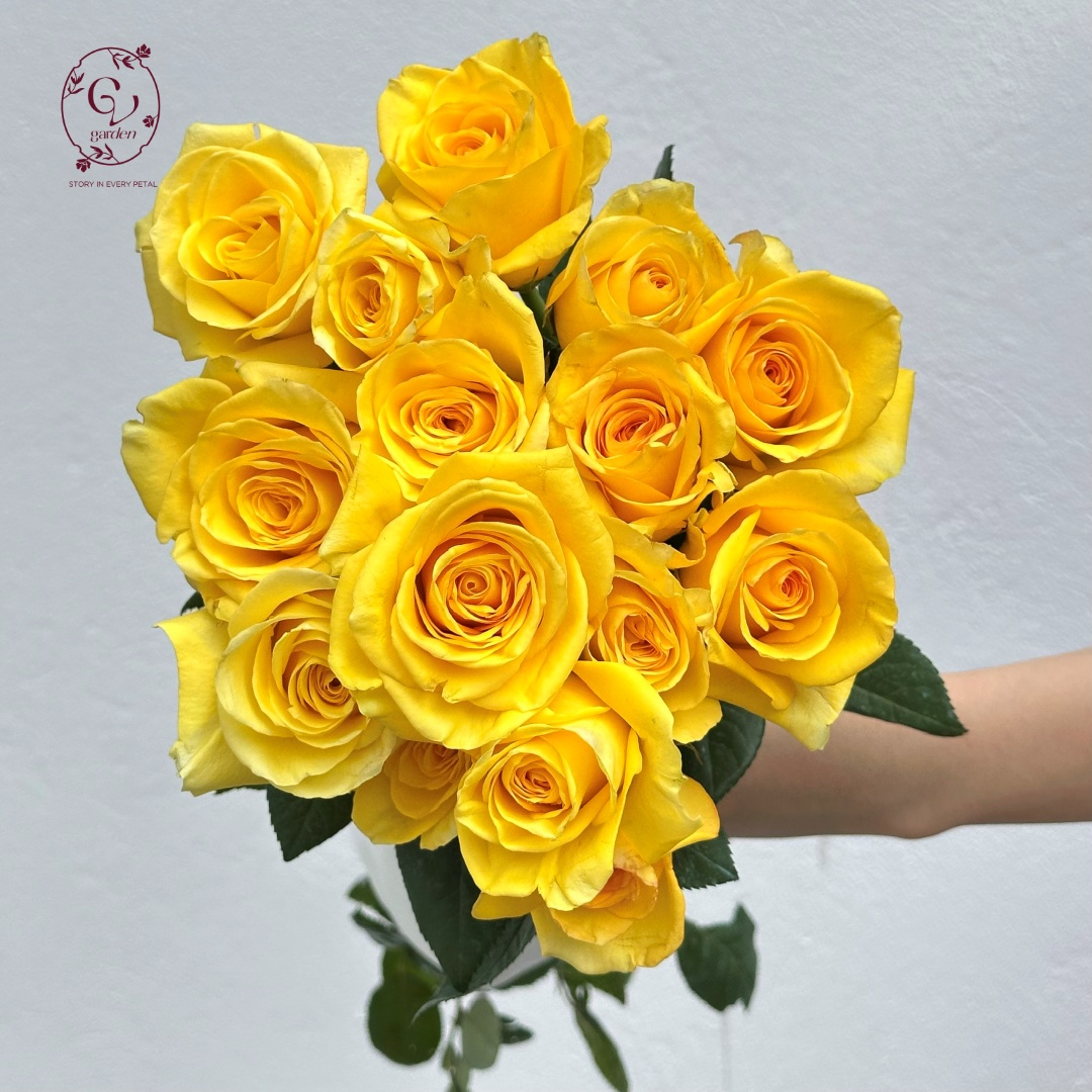 Hoa Hồng Vàng Chùa