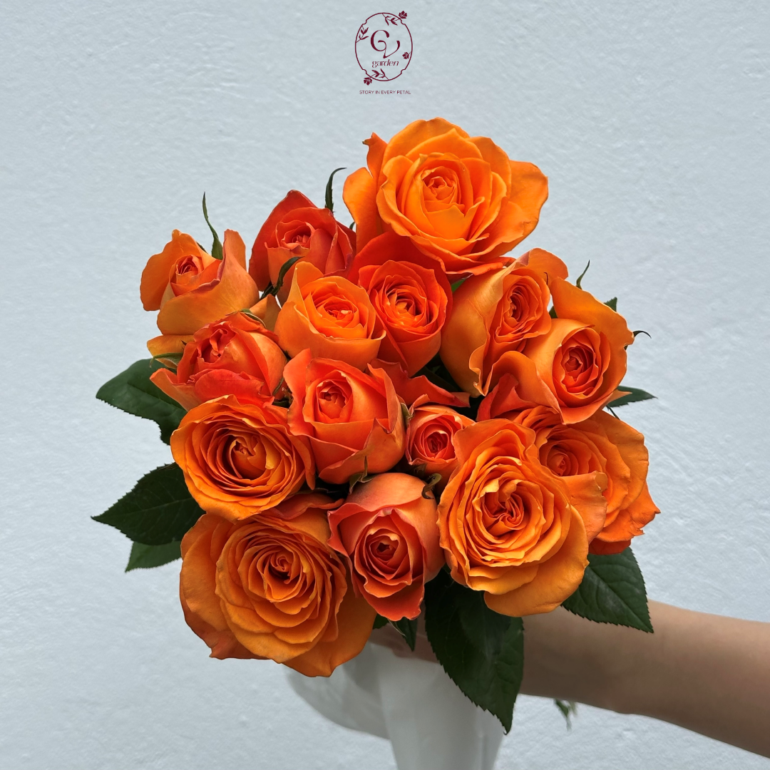 Hoa Hồng Cam Quốc Vương