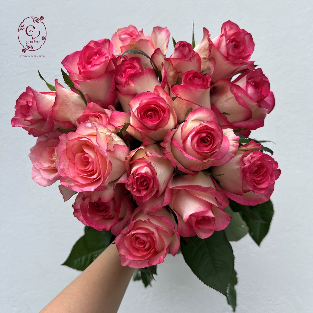 Hoa Hồng Hỷ Trứng