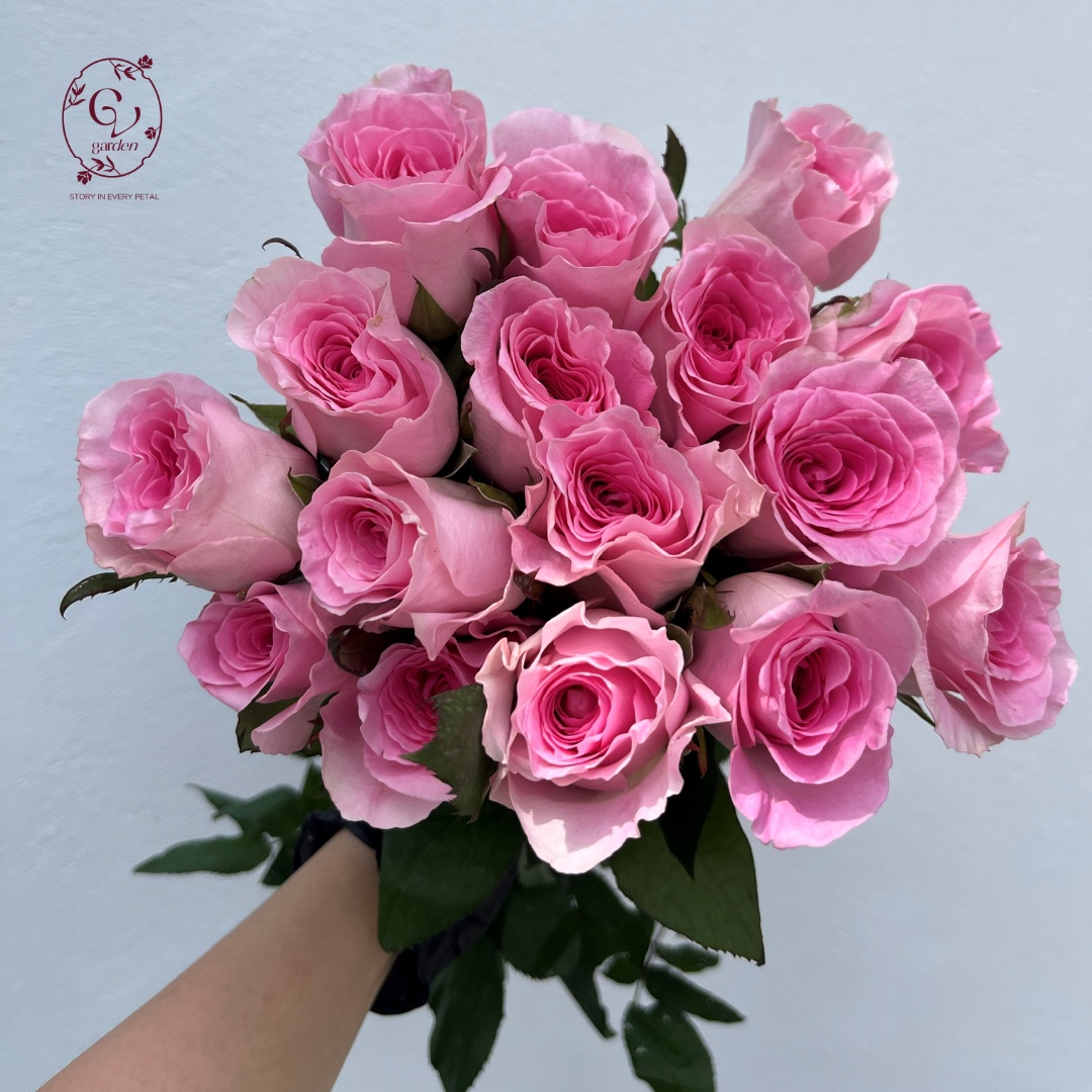 Hoa Hồng Lạc Thần