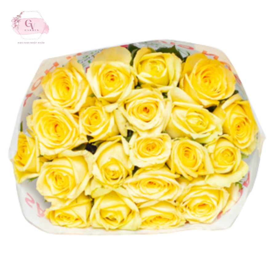 Bảo quản hoa hồng tươi lâu trong 7-10 ngày