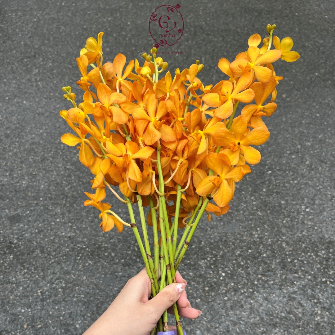 batch z7303716672365 55b55b3279939140ad97c165f846895c